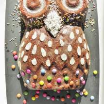 tn_watermarked-owl cake