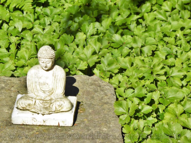 watermarked-silent buddha