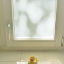 watermarked-lonesome ducky